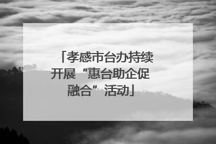 孝感市台办持续开展“惠台助企促融合”活动