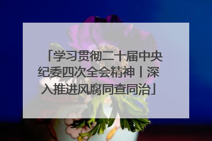 学习贯彻二十届中央纪委四次全会精神丨深入推进风腐同查同治