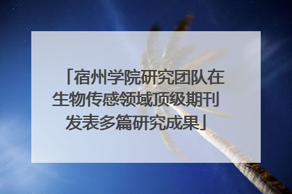 宿州学院研究团队在生物传感领域顶级期刊发表多篇研究成果