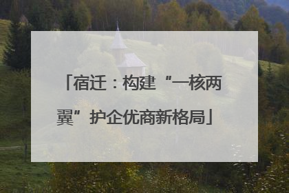 宿迁：构建“一核两翼”护企优商新格局