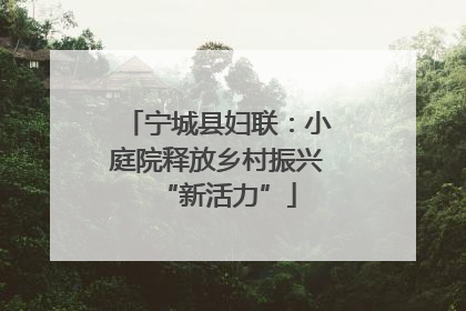 宁城县妇联：小庭院释放乡村振兴“新活力”