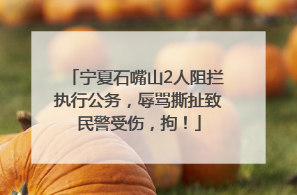 宁夏石嘴山2人阻拦执行公务，辱骂撕扯致民警受伤，拘！