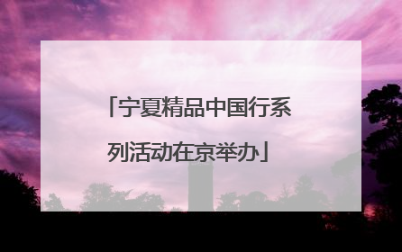 宁夏精品中国行系列活动在京举办