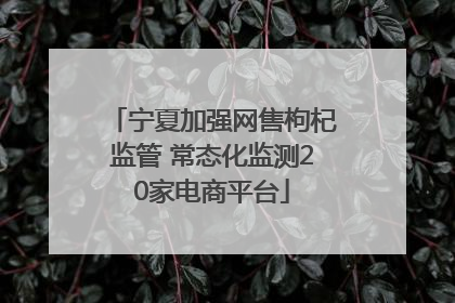 宁夏加强网售枸杞监管 常态化监测20家电商平台