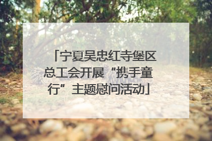 宁夏吴忠红寺堡区总工会开展“携手童行”主题慰问活动