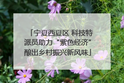 宁夏西夏区 科技特派员助力“紫色经济”酿出乡村振兴新风味