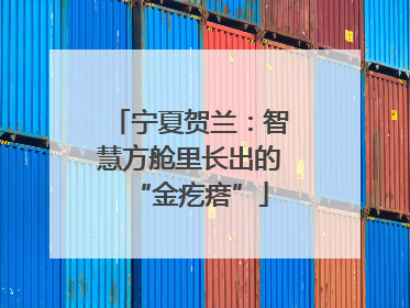 宁夏贺兰：智慧方舱里长出的“金疙瘩”