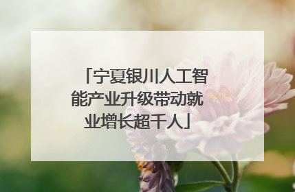 宁夏银川人工智能产业升级带动就业增长超千人