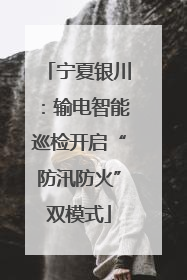 宁夏银川：输电智能巡检开启“防汛防火”双模式