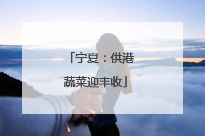 宁夏：供港蔬菜迎丰收