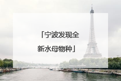 宁波发现全新水母物种