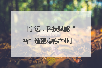 宁远：科技赋能“智”造蛋鸡鸭产业