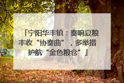 宁阳华丰镇：奏响夏粮丰收“协奏曲”，多举措护航“金色粮仓”