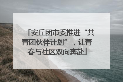安丘团市委推进“共青团伙伴计划”，让青春与社区双向奔赴