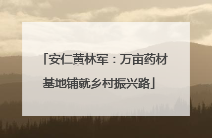 安仁黄林军：万亩药材基地铺就乡村振兴路