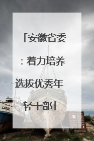 安徽省委：着力培养选拔优秀年轻干部