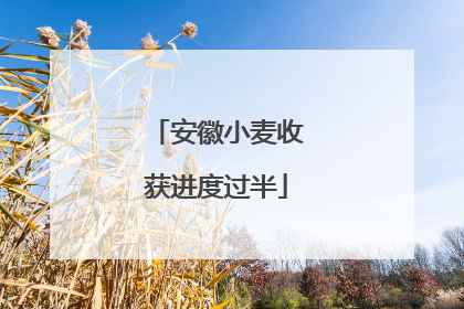 安徽小麦收获进度过半