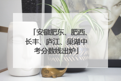 安徽肥东、肥西、长丰、庐江、巢湖中考分数线出炉