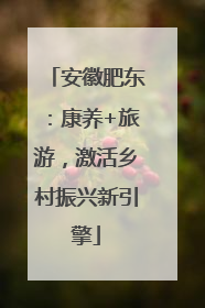 安徽肥东：康养+旅游，激活乡村振兴新引擎
