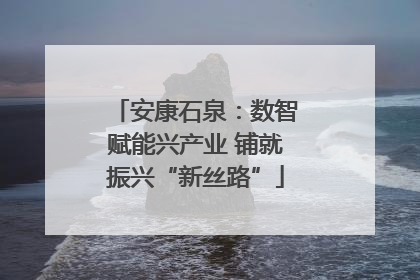 安康石泉：数智赋能兴产业 铺就振兴“新丝路”