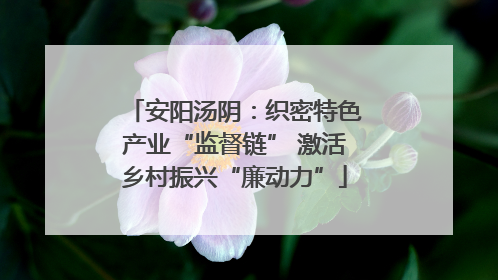 安阳汤阴：织密特色产业“监督链” 激活乡村振兴“廉动力”