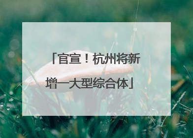 官宣！杭州将新增一大型综合体