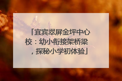 宜宾翠屏金坪中心校：幼小衔接架桥梁，探秘小学初体验