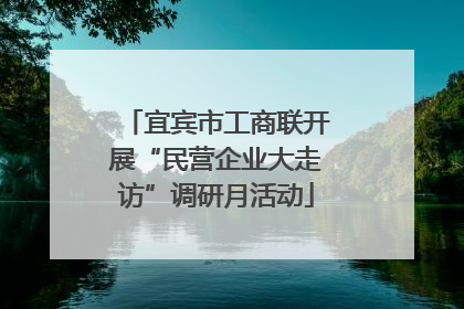 宜宾市工商联开展“民营企业大走访”调研月活动