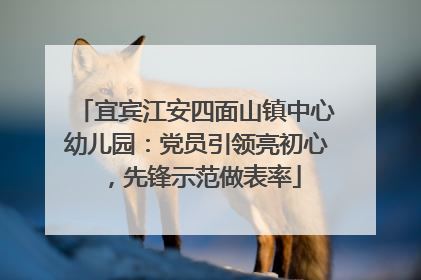 宜宾江安四面山镇中心幼儿园：党员引领亮初心，先锋示范做表率