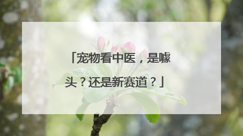 宠物看中医，是噱头？还是新赛道？