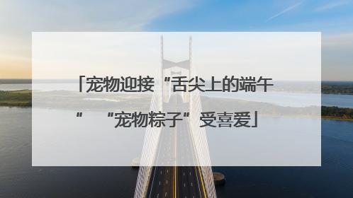 宠物迎接“舌尖上的端午” “宠物粽子”受喜爱
