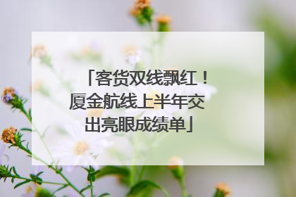 客货双线飘红！厦金航线上半年交出亮眼成绩单