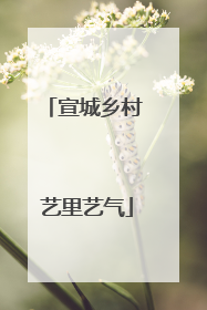 宣城乡村 艺里艺气