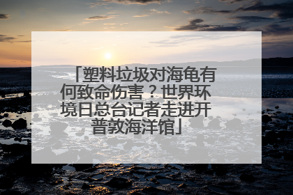 塑料垃圾对海龟有何致命伤害？世界环境日总台记者走进开普敦海洋馆