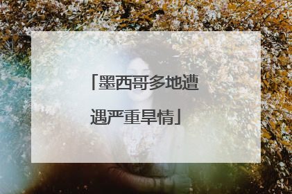 墨西哥多地遭遇严重旱情