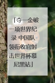 夺一金破一项世界纪录 中国队领衔收官射击世界杯慕尼黑站