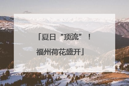 夏日“顶流”！福州荷花盛开