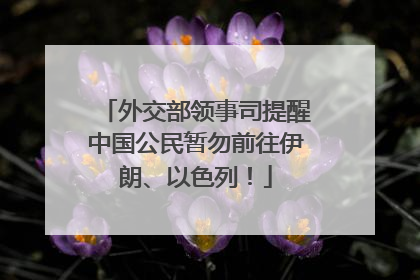 外交部领事司提醒中国公民暂勿前往伊朗、以色列！