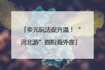 多元玩法促升温！“河北游”圈粉海外客