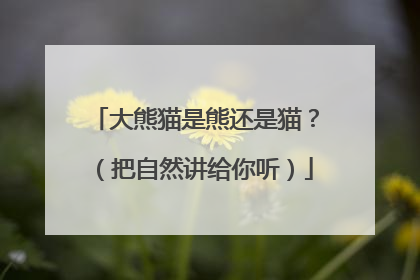 大熊猫是熊还是猫？（把自然讲给你听）
