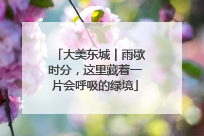 大美东城｜雨歇时分，这里藏着一片会呼吸的绿境