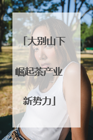 大别山下崛起茶产业新势力