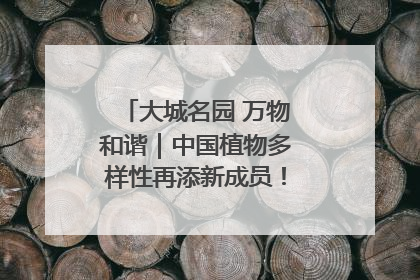 大城名园 万物和谐｜中国植物多样性再添新成员！它只在西藏墨脱