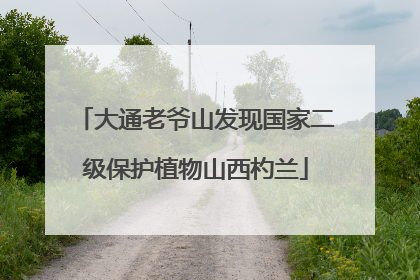 大通老爷山发现国家二级保护植物山西杓兰