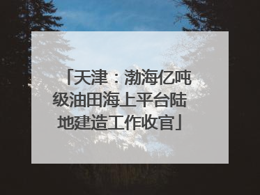 天津：渤海亿吨级油田海上平台陆地建造工作收官