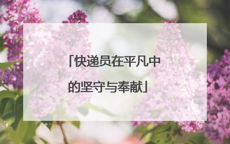 快递员在平凡中的坚守与奉献