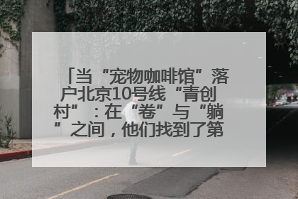 当“宠物咖啡馆”落户北京10号线“青创村”：在“卷”与“躺”之间，他们找到了第三种生活公式