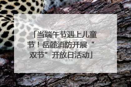 当端午节遇上儿童节！岳麓消防开展“双节”开放日活动
