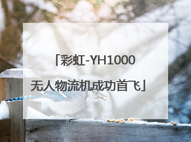彩虹-YH1000无人物流机成功首飞