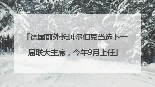 德国前外长贝尔伯克当选下一届联大主席，今年9月上任
